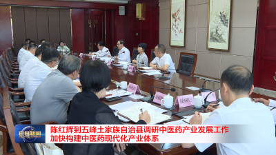 陈红辉到五峰土家族自治县调研中医药产业发展工作 加快构建中医药现代化产业体系