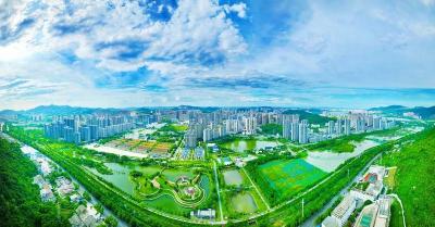 红橙黄（石）青蓝紫！  