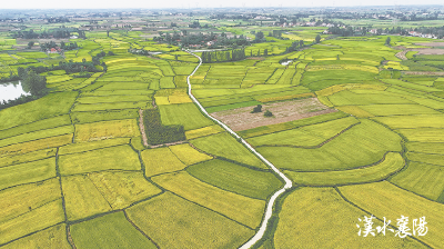 新高地 正崛起——襄阳锚定国家农高区目标全力冲刺  