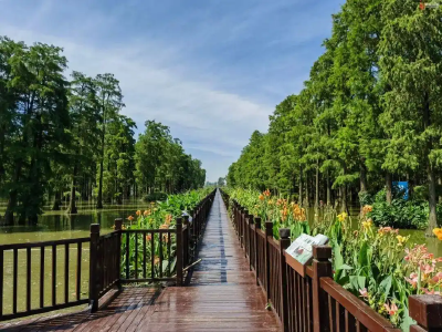 江滩会呼吸，矿山变景点，武汉生态修复术受到央媒关注