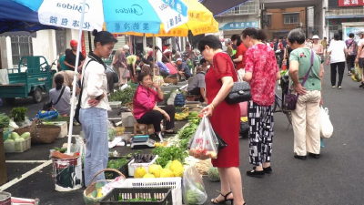 菜市场“潮汐”停车场——当阳新民村集体收入超500万元的“秘籍”