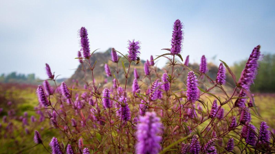 裸眼3D还原+沉浸式戏剧——大冶铜绿山让3000年矿冶文明“活”起来  