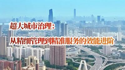 超大城市治理：从精细管理到精准服务的效能进阶  