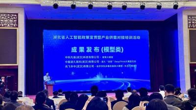 “全能秘书”会写报告做视频 “神笔马良”让工程设计又快又准 24项湖北AI应用创新成果组团亮相  