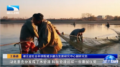 “十四五”非凡历程的实践与启示丨打造新时代“鱼米之乡”  