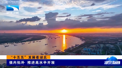 “十五五”发展看湖北 | 强内拓外 推进高水平开放  
