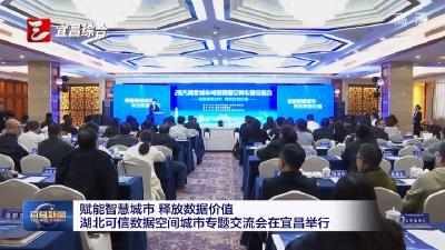 赋能智慧城市 释放数据价值 湖北可信数据空间城市专题交流会在宜昌举行
