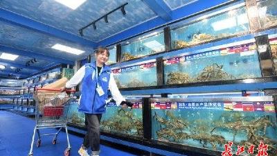 从区域卖场到全球接口——汉交会见证武汉“势”起  