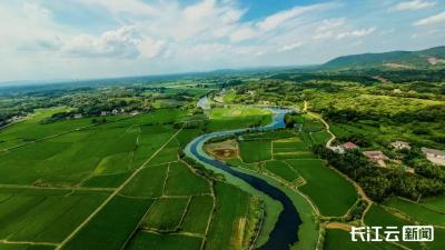 楚地丰饶 鱼米新篇  