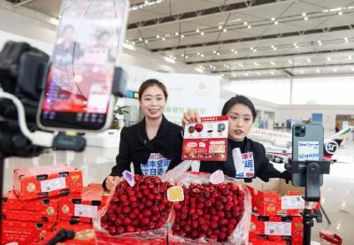 全国生鲜都先绕鄂州花湖国际机场？竟是为了更快到你家  