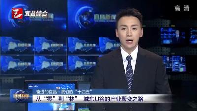 奋进的宜昌·我们的“十四五” 从“零”到“林” 城东U谷的产业聚变之路