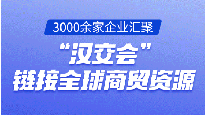 武汉：吸引全球要素奔涌而来  