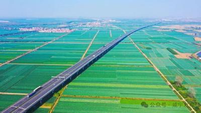 【奋发有为这一年】乡村振兴体现新气象  