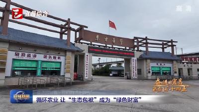 奋进的宜昌·我们的“十四五” 循环农业 让“生态包袱”成为“绿色财富”