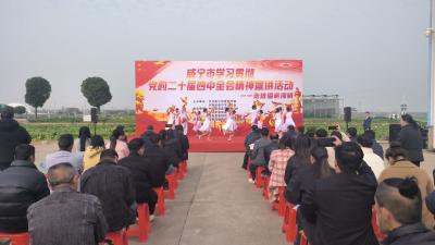 田野课堂讲“新”声 百姓舞台传“心”音 咸宁创新形式推动党的二十届四中全会精神深入基层