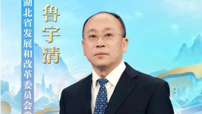 @湖北人 你关心的问题，14位厅长来解答！  