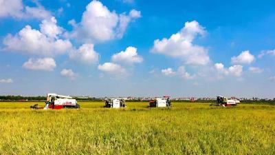 湖北省农业农村厅厅长张桂华：推动农业基础更加稳固 农村地区更加繁荣 农民生活更加红火  