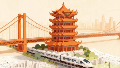 一图见证！五年又五年，武汉的每一步都算数  