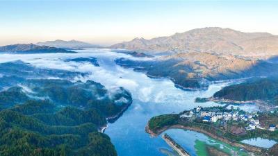 卖出山里货 招来城里客 “大别山头雁”引领产业突围  