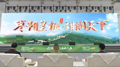 “智慧桃”结出“共富果” |“枣阳皇桃”奏响生态富民的“田园乐章”  