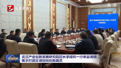 武汉产业创新发展研究院院长李锡玲一行来宜调研
