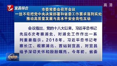 市委常委会召开会议 一丝不苟把党中央决策部署和省委工作要求落到实处 推动高质量发展与高水平安全良性互动