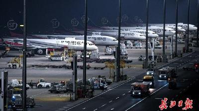 产业内外联动，人才近悦远来——省两会代表委员热议“开放高地”  