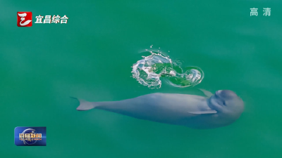 深入学习贯彻习近平生态文明思想 绿色蝶变 幸福“加码” 一个摄影爱好者的长江影像日记