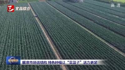 瞄准市场调结构 特色种植让“菜篮子”活力更足