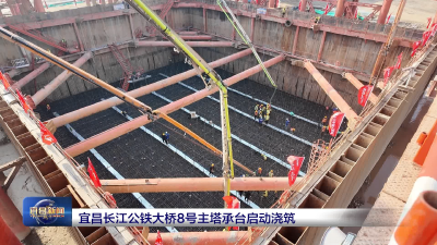 宜昌长江公铁大桥8号主塔承台启动浇筑