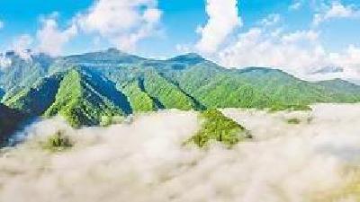 神农架挺起生态高地  