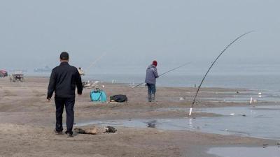 从捕鱼人到护渔人！十年转身换得江豚归航  