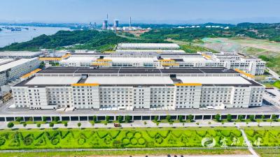 宜都这家药企凭什么？