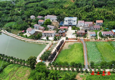 牢记嘱托 感恩奋进｜路通村美气象新——嘉鱼：沃野“蔬”写共富经