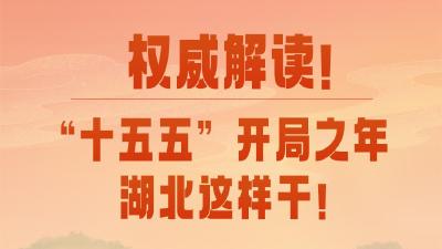 起草组专家权威解读：“十五五”开局之年，湖北这样干！  