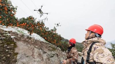 智慧种橙，秭归脐橙的“科技密码”  