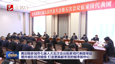 黄剑雄参加市七届人大五次会议伍家岗代表团审议 提升城区经济能级 打造更具都市范的城市新中心