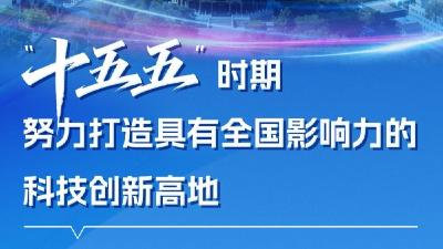 向高而攀！湖北全力打造这“四个高地”  