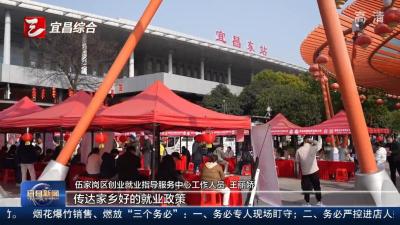 “宜业在乡”组合拳 助力人才安心扎根