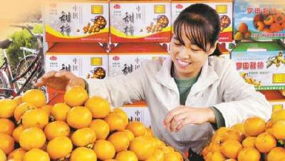新春走基层 | 柿红羊欢、山货出山、冰雪经济……来看黄冈的蓬勃生机  