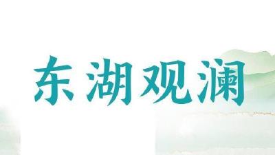 东湖观澜丨答好“三农九问”  