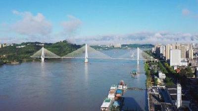 “腊梅”的约定