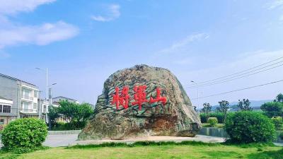 新春走基层 | 靠“品牌”破圈：这个村的“山货”从“地里香”变“市场旺”  