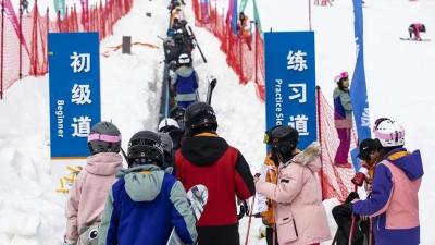 冰雪经济：屈原故里的冬日“热”  