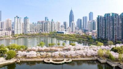 武汉这场大会，有三个不同！让长江中游的美好被世界看见  