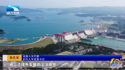 代表委员说 | 以法治之力 固发展之基  