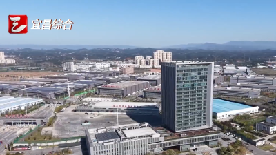 聚焦“四个重大”  推动高质量发展 聚链成群 宜昌抢占硅碳负极产业新赛道