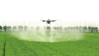 3800亩小麦“一日飞防”  