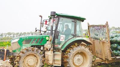 总书记这六问，我们稳稳接住了  