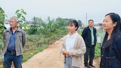 十四届全国人大代表 田淑娴：一位硕士“新农人”的科技兴农路  